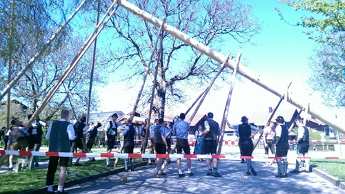 2017 05 02 Maibaum2